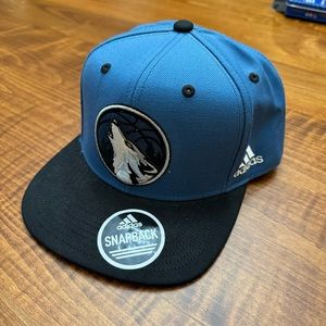 Timberwolves hat